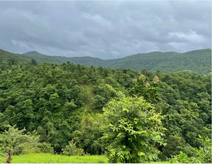 Forested hills and valley in Poladpur